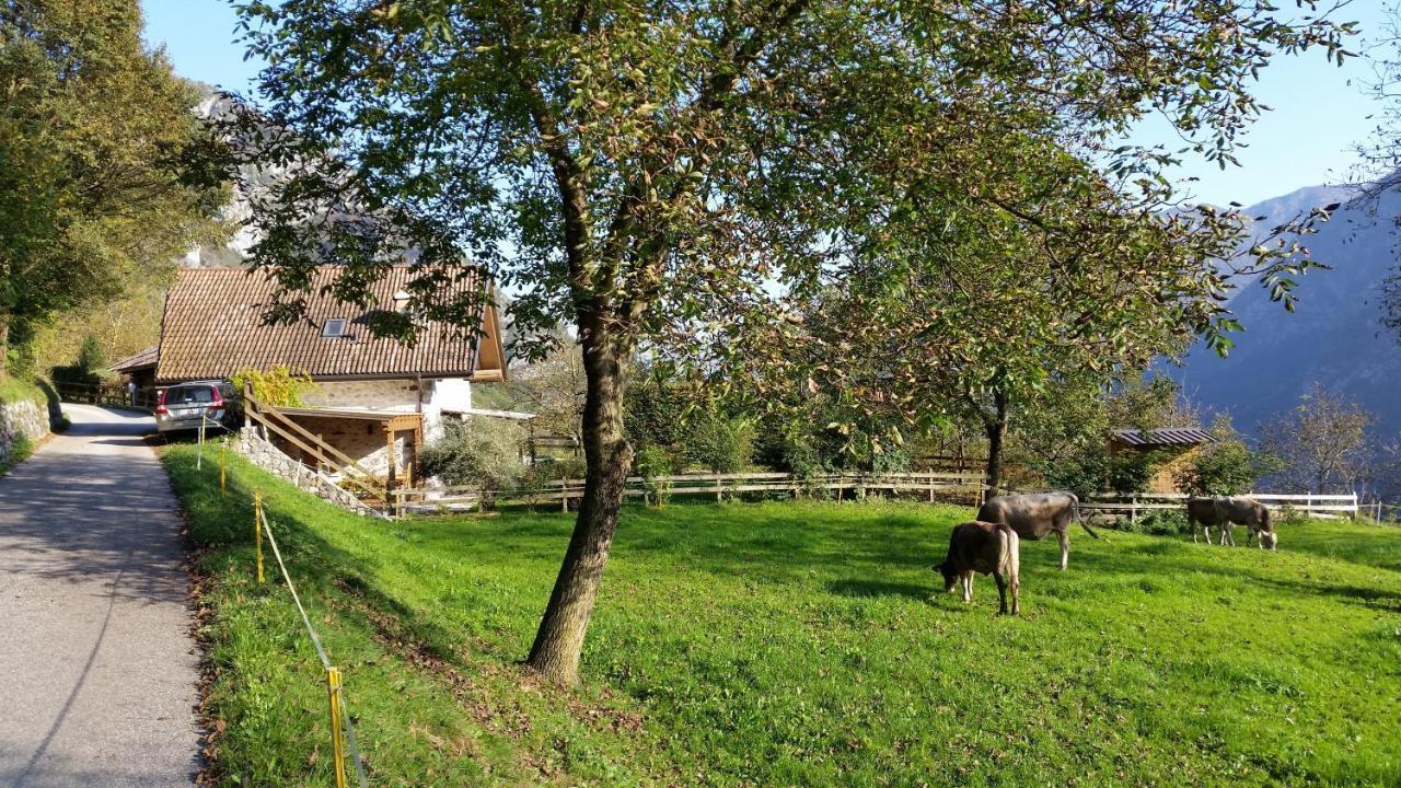 Chalet La Nos Molina di Ledro Quarto foto